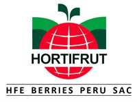 HFE BERRIES PERU SAC