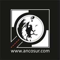 ancosur