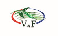 V & f s.a.c.